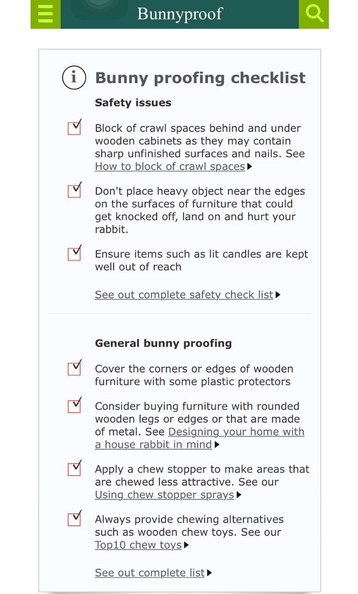 the bunny proofing checklist is shown in this screenshote, which shows how to