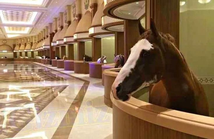 a horse sticking its head over the edge of a bathtub in a hotel lobby