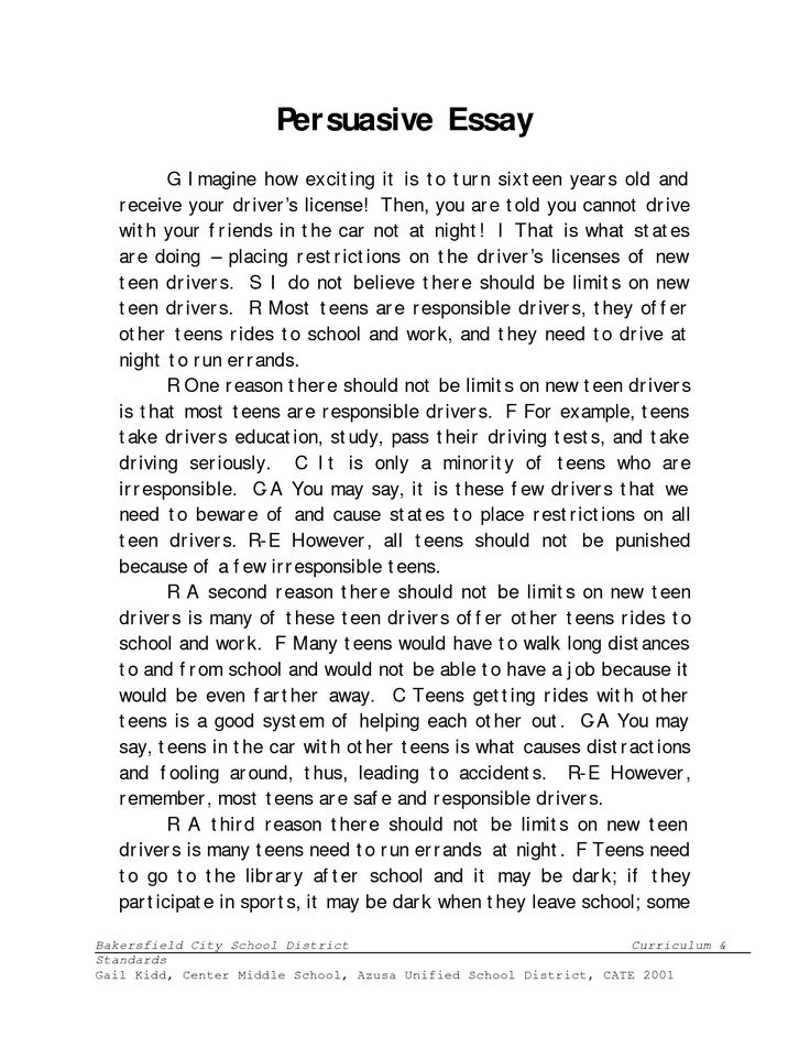 an example of persuusive writing from the book persuusive essay