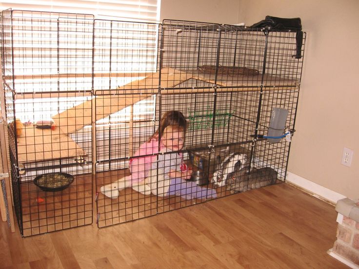 DIY Bunny cage Diy Bunny Cage, Benny And Joon, Diy Rabbit Cage, Indoor Rabbit Cage, Bunny Cage, Rabbit Habitat, Bunny Hutch, Diy Bunny, Bunny Room