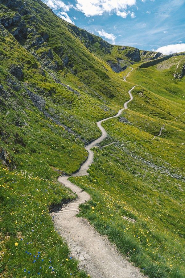 a path going up the side of a green mountain