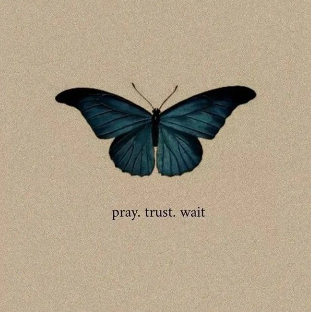 a blue butterfly with the words pray trust wait