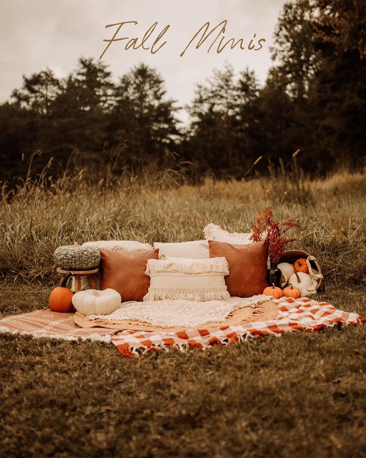 a blanket, pillows and pumpkins are on the grass in front of some trees