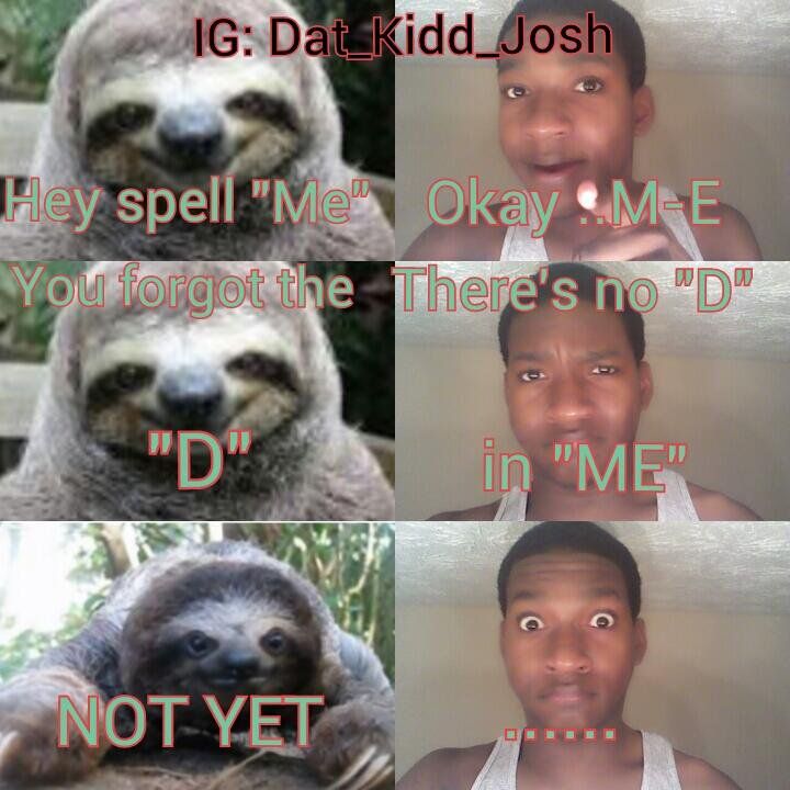 four different pictures of a smiling sloth with captioning that says, hey spell me okay me you forgot the there's no d in me