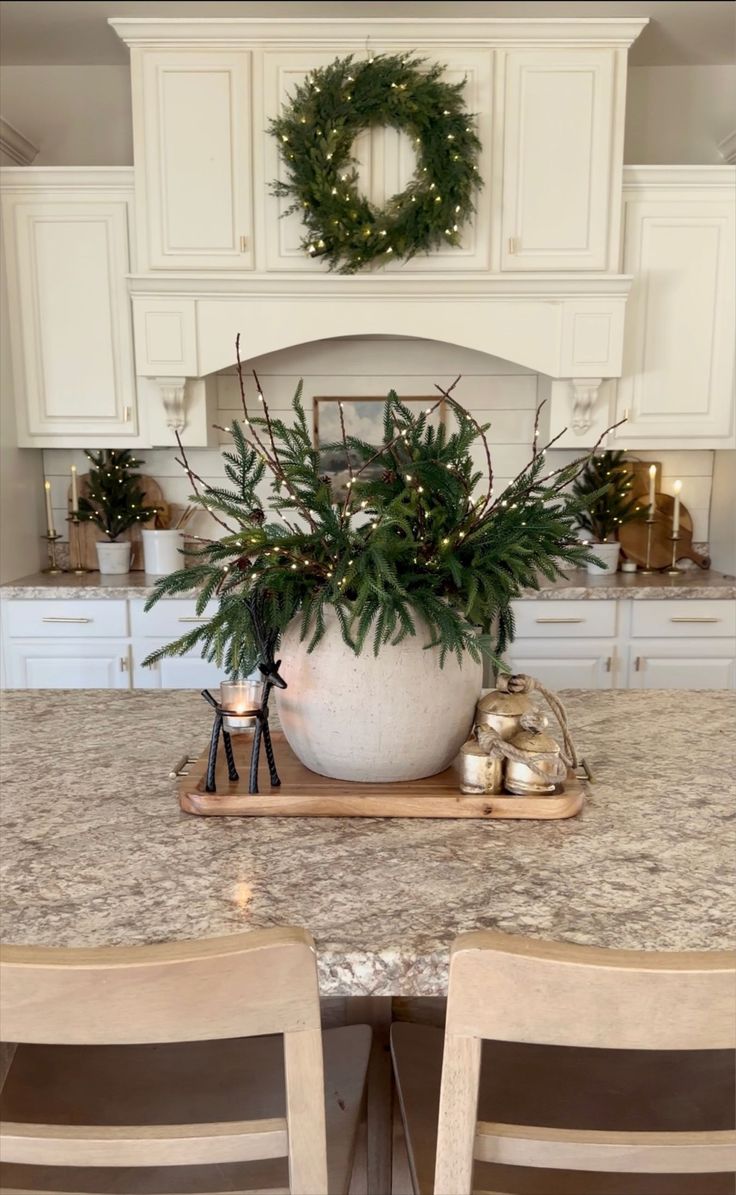 a large potted plant sitting on top of a kitchen counter next to two chairs