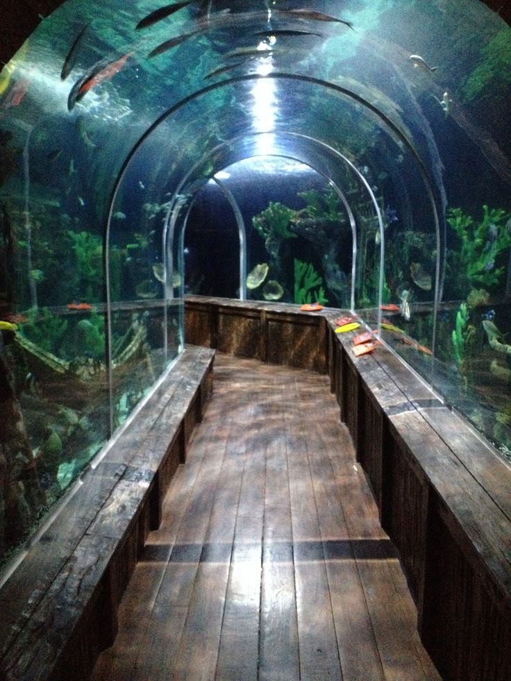 the inside of an aquarium with wooden benches and fish tank in the backgroud