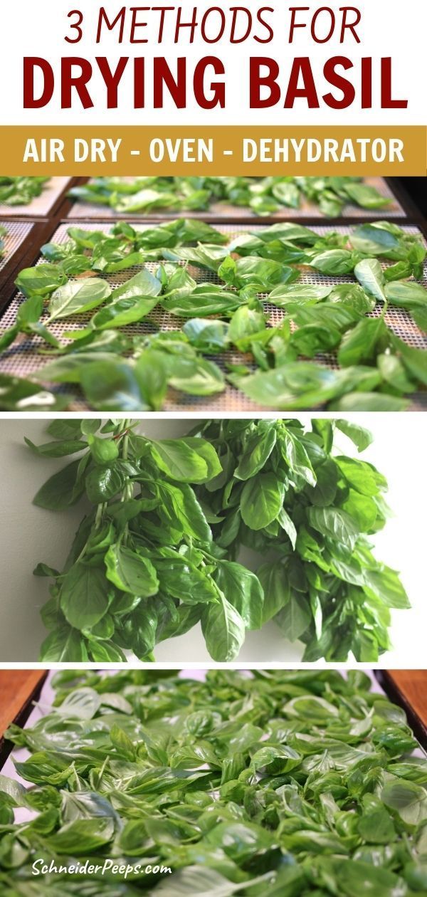 three steps to drying basil on a table with text overlay that reads 3 method for drying basil