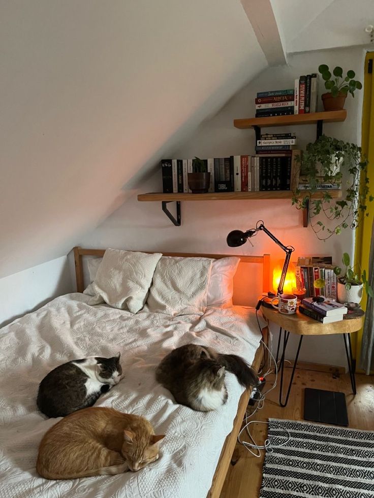 three cats laying on top of a bed next to a lamp and bookshelf