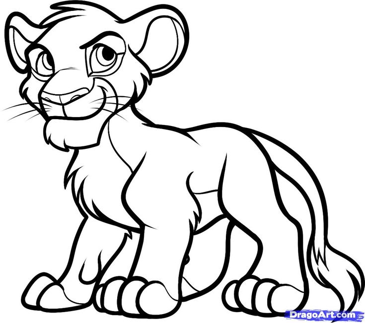 the lion cub from disney's the lion king coloring pages for kids and adults