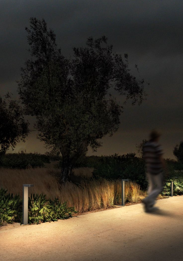 a person walking down a path at night with the lights on and trees in the background