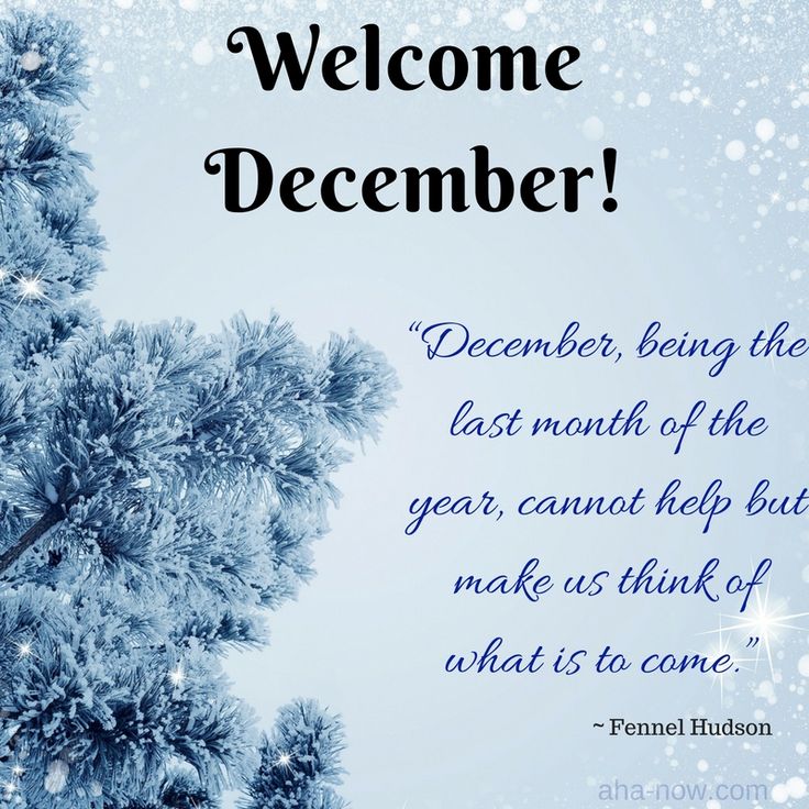 a blue christmas tree with the words welcome december