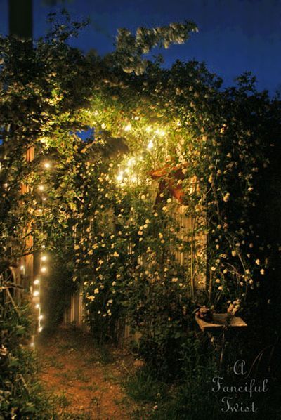 an arch covered in vines and lights at night