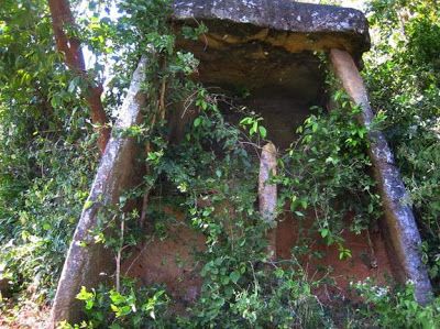 an old structure in the woods with vines growing out of it's sides and on top