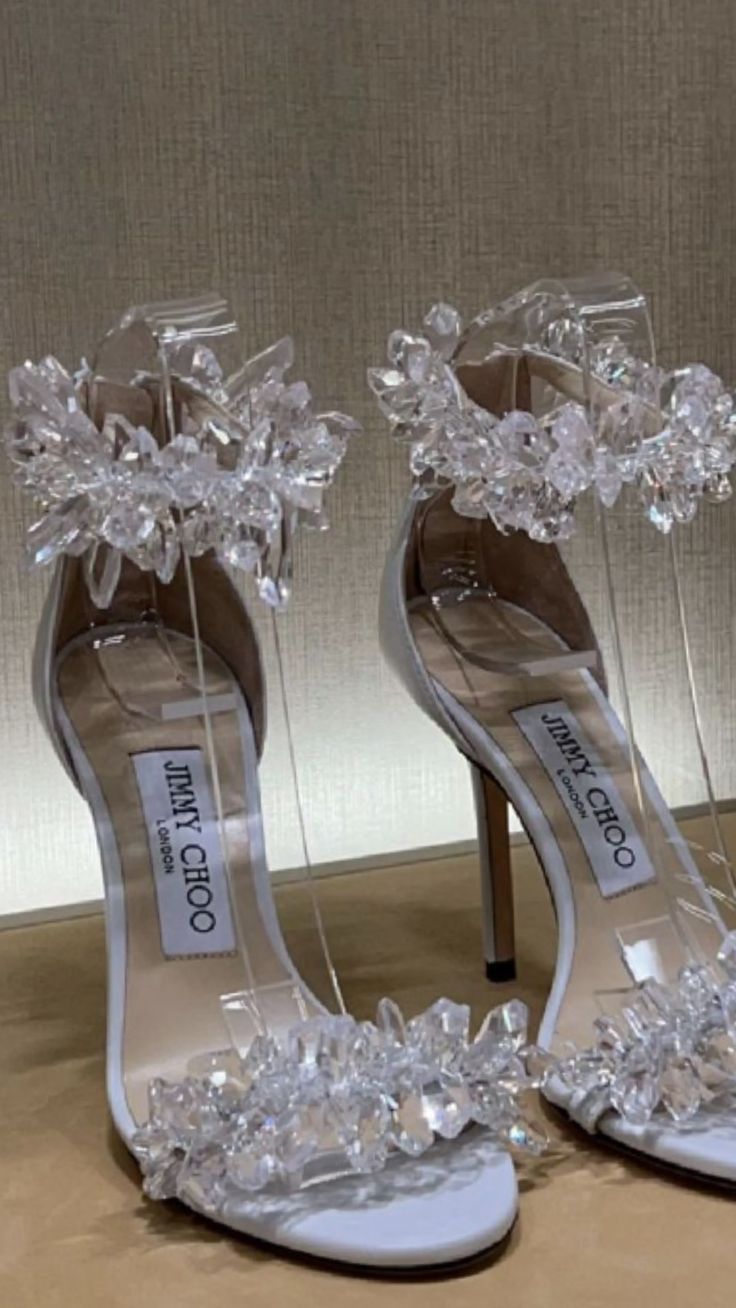 a pair of high heeled shoes with clear heels and crystal flowers on the toes