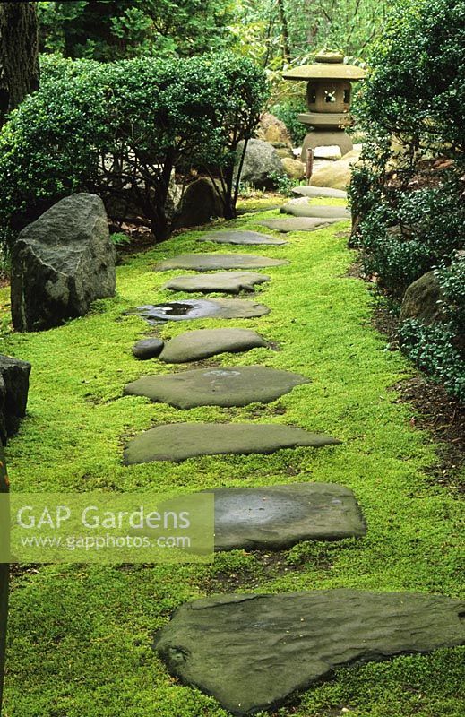 a garden with stepping stones in the grass