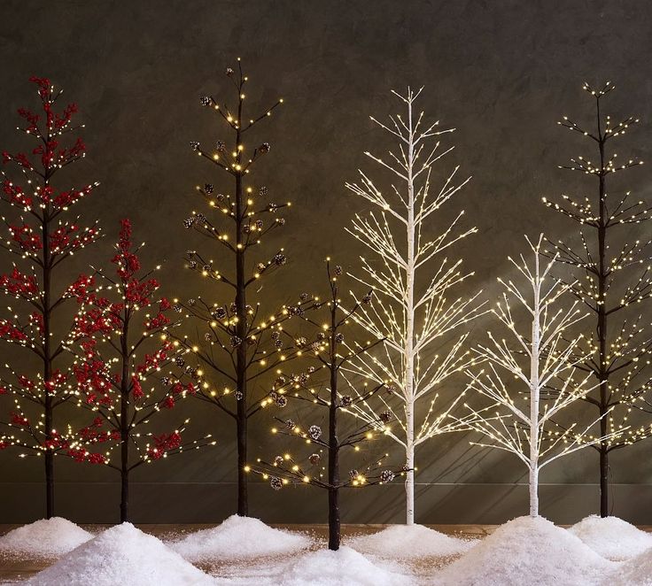 there are many trees that have been decorated with lights in the night time and snow on the ground