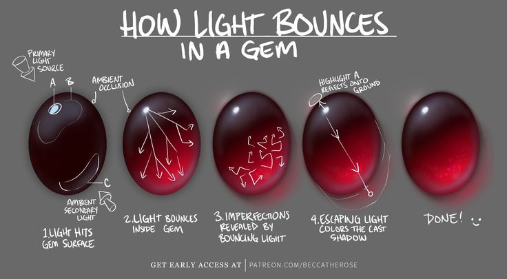 an image of how light bounces in a germ egg with instructions on the side