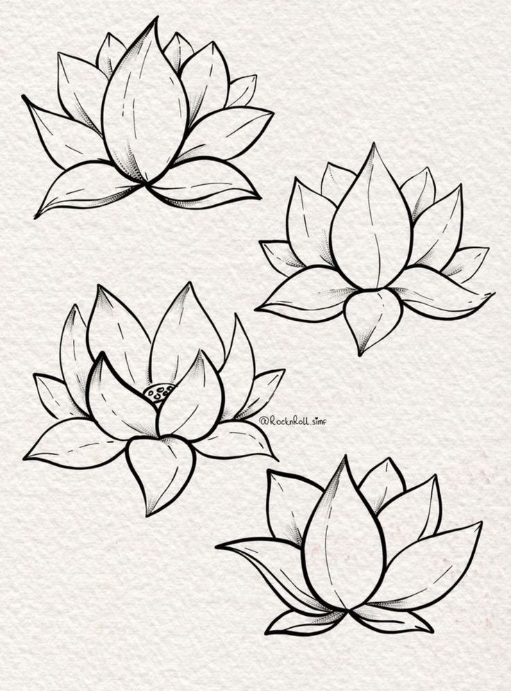 three black and white lotus flowers with leaves on them, drawn in pencil by hand