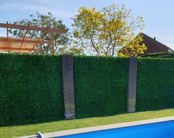 an empty swimming pool in front of a tall hedge