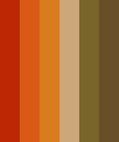 an orange and brown color scheme with the same hues as well as other colors