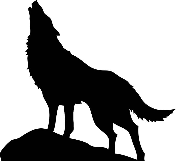 a wolf standing on top of a hill