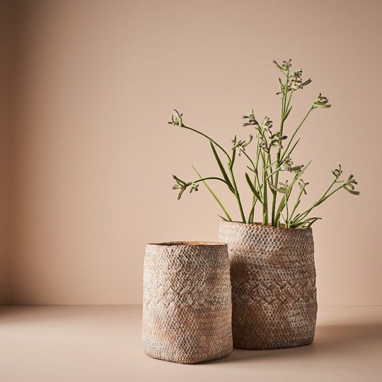 two vases with plants in them on a table