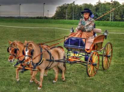 an older woman sitting in a carriage being pulled by two clydesdale horses on the grass