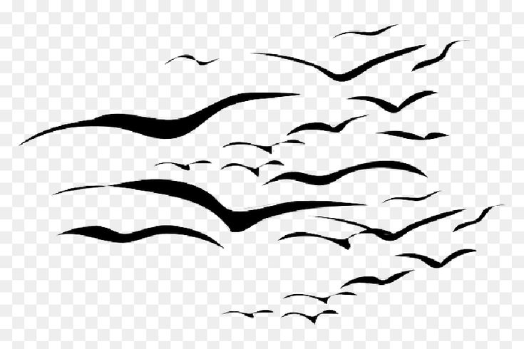 a flock of birds flying in the sky, with black and white silhouettes on transparent background