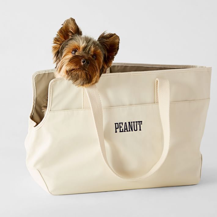 a small dog sitting in a bag with the word peanut printed on it's side