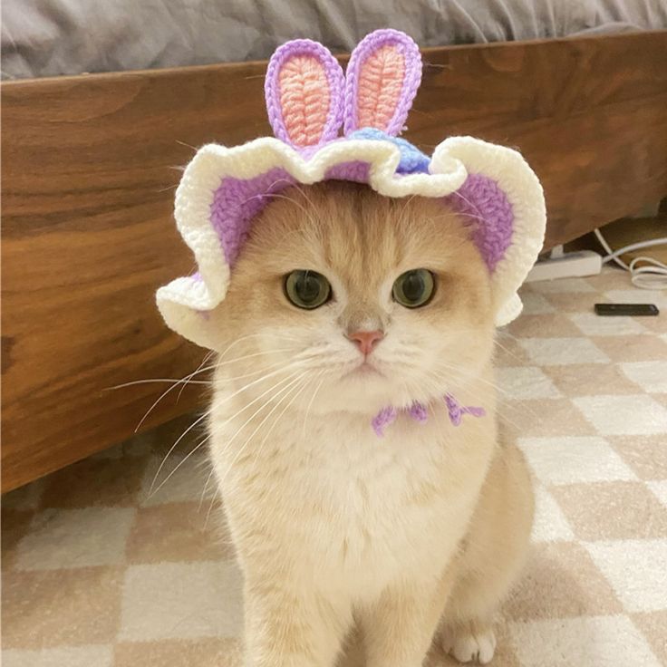 a cat wearing a crocheted hat with bunny ears