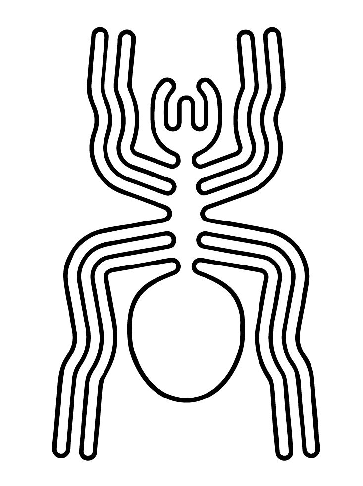 a black and white drawing of a spider