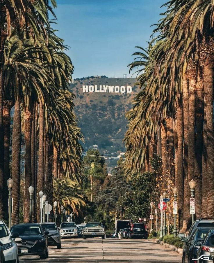 the hollywood sign is surrounded by palm trees and parked cars on a street in los angeles