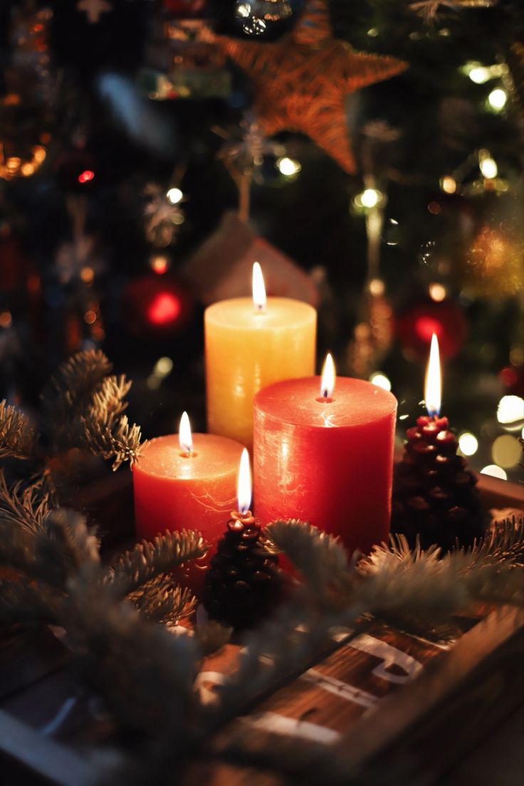 three lit candles sitting on top of a wooden table next to christmas decorations and pine cones