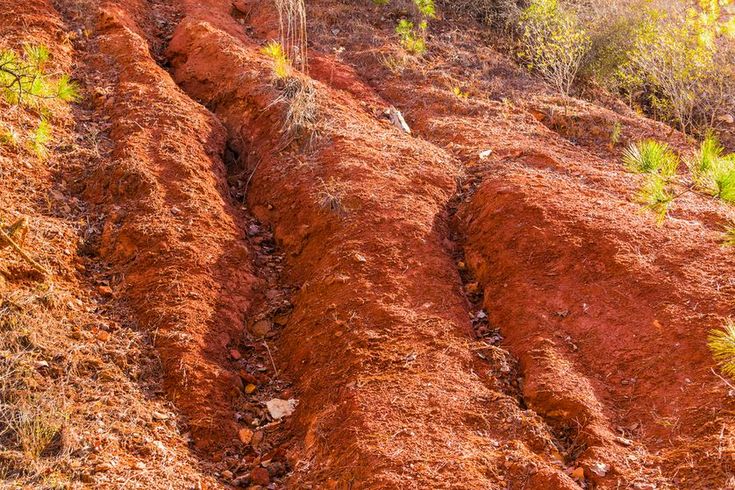 the dirt is red and brown with little green plants growing on it's sides