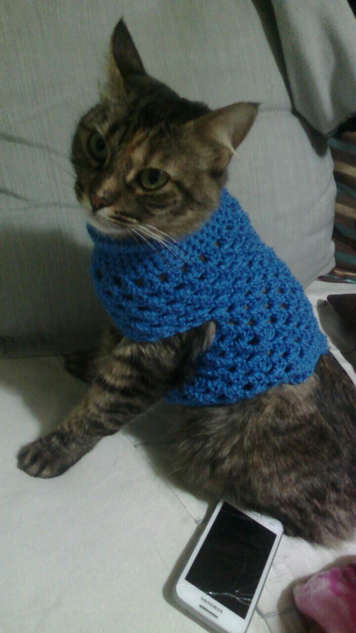 Cat Sweater Pattern: Crafting Comfort and Style for Your Feline Friend ... image.