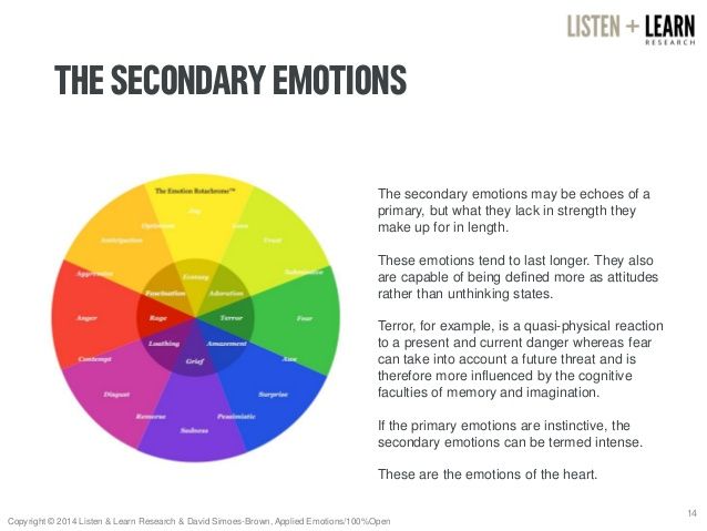 Primary And Secondary Emotions Flow Chart