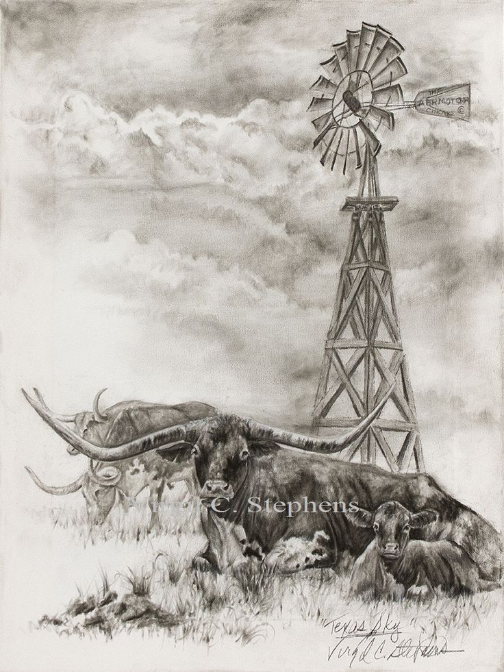 a black and white drawing of longhorns in front of a windmill