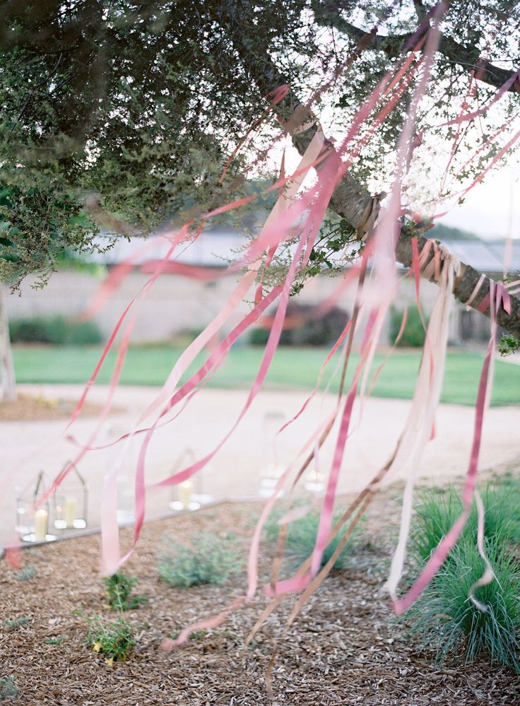 pink streamers are hanging from the branches of a tree