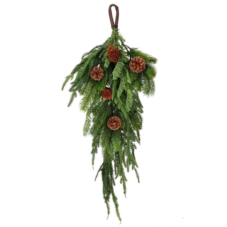 evergreen and pine cones hanging from a brown ribbon