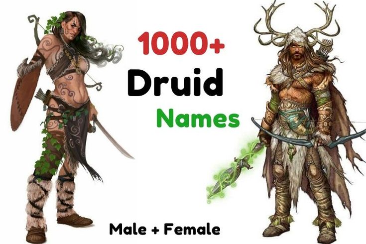 two male and female elf characters with the words druid names