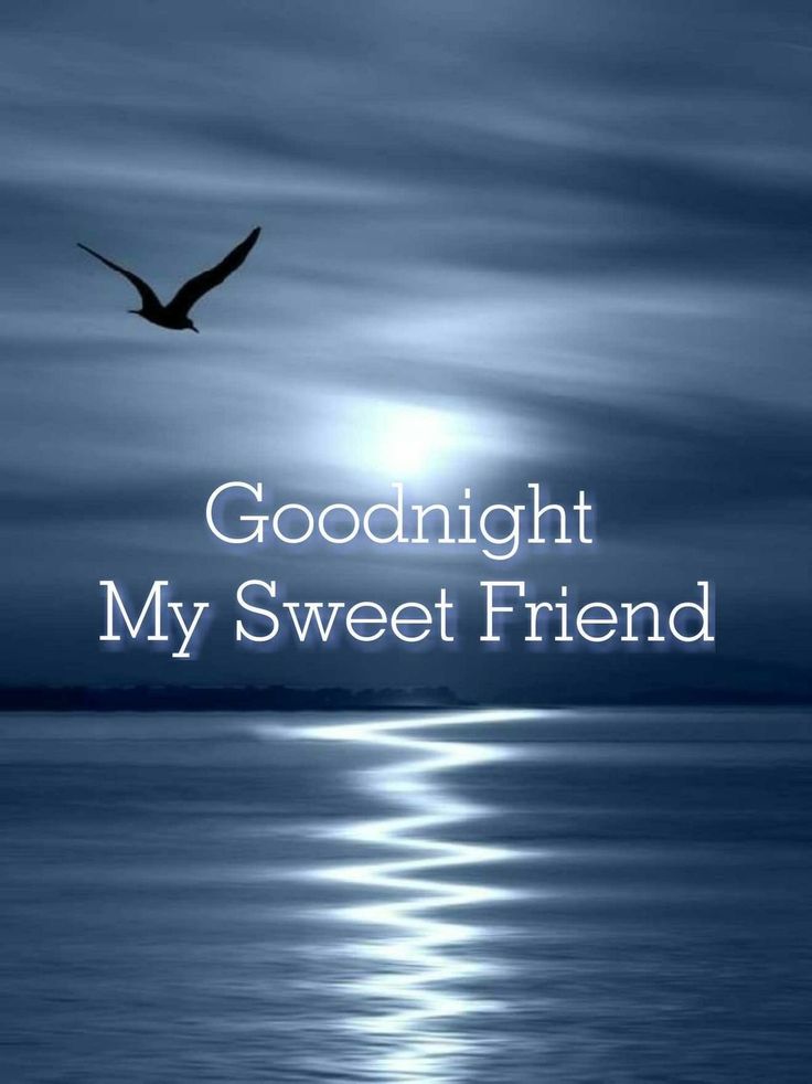 the words goodnight my sweet friend are in front of an image of a seagull flying