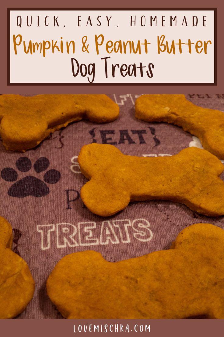 homemade pumpkin and peanut butter dog treats