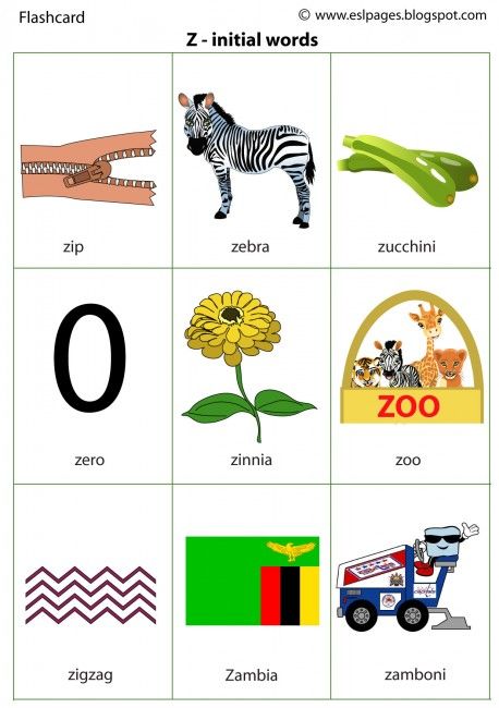 the letter z worksheet with pictures of animals, letters and numbers on it