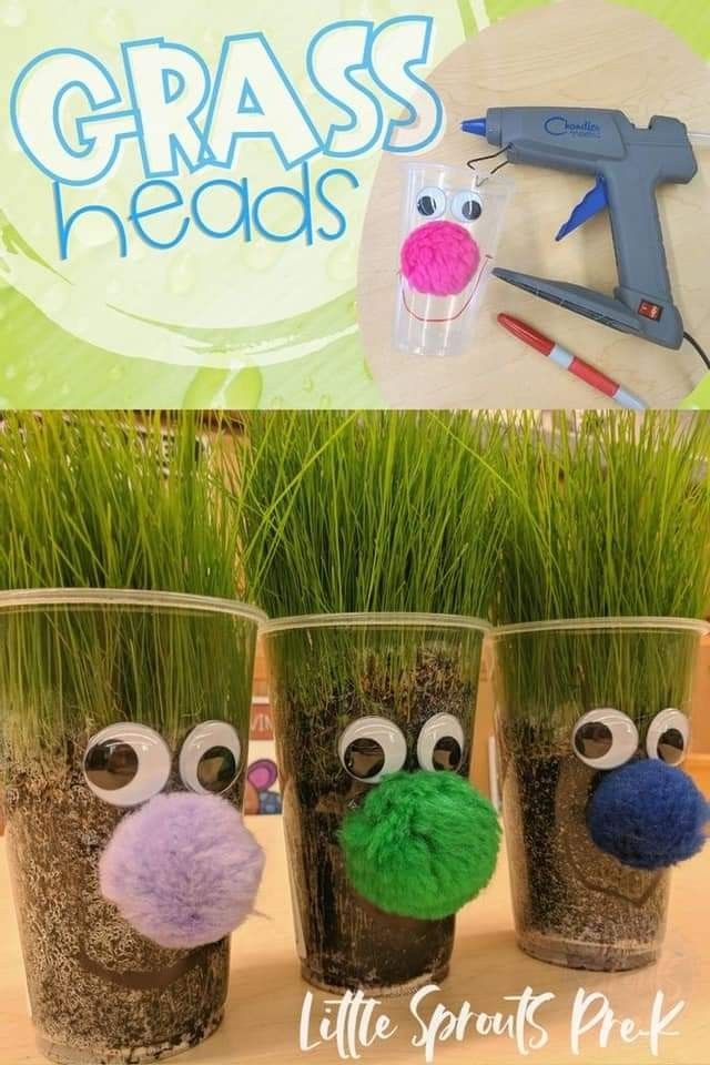 grass heads made from little sprouts are displayed in plastic cups with scissors and glue