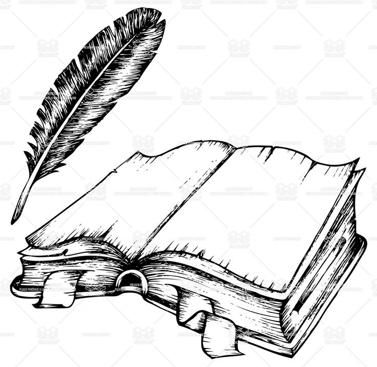 an open book with a feather quill on top