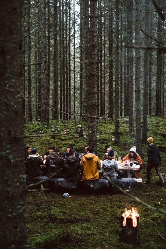 a group of people sitting around a campfire in the middle of a forest filled with trees