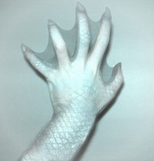 a person's hand with white skin on it is shown in the middle of the image