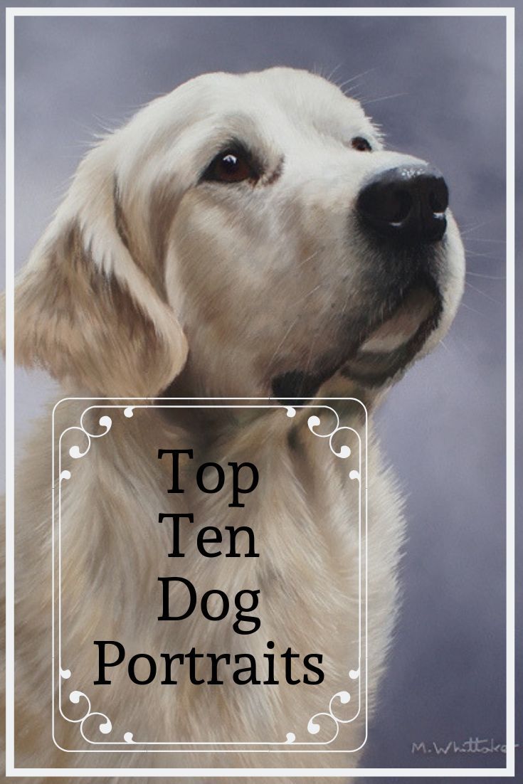 a white dog with the words top ten dog portraits