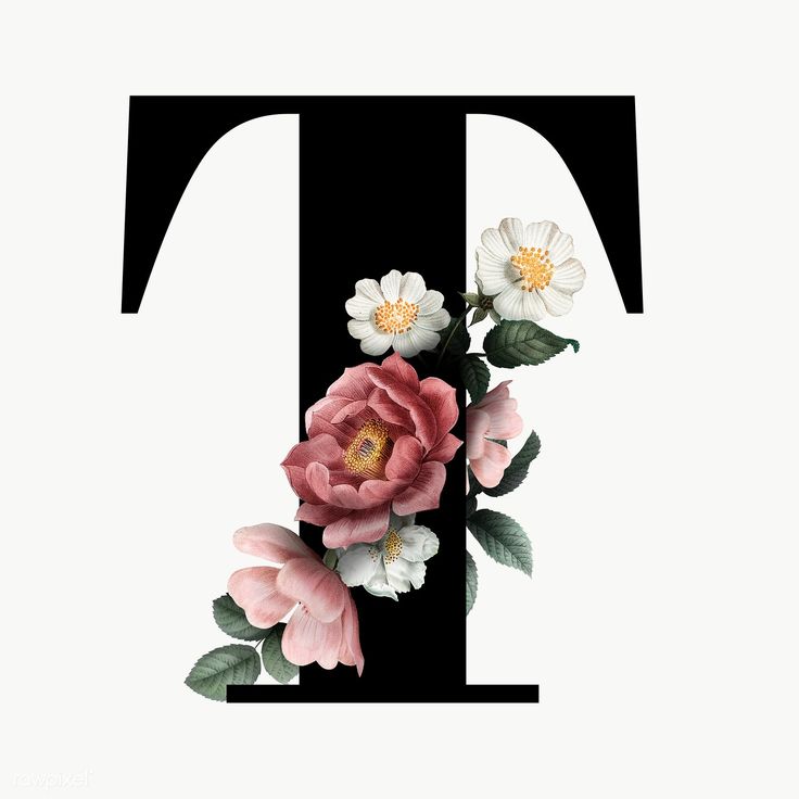 the letter t has flowers painted on it's uppercase and lowercase letters