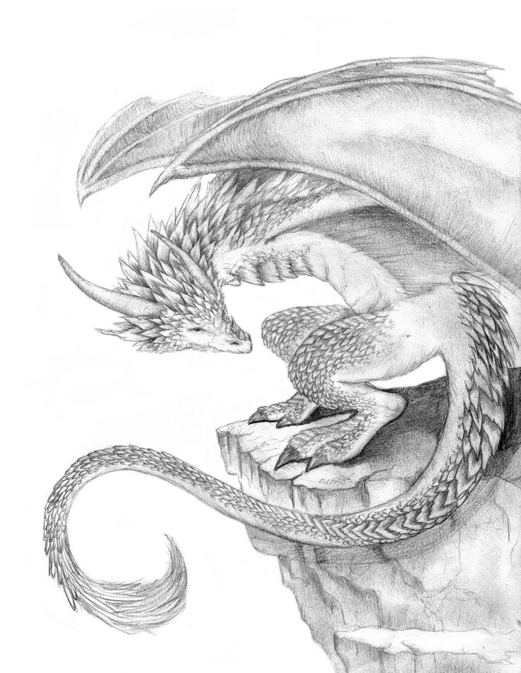 a pencil drawing of a dragon on top of a mountain with its wings spread out